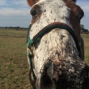 Meet your Posher, Robin